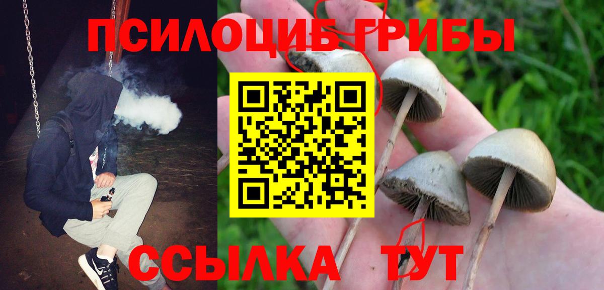 Люберцы  Галлюциногенные грибы Psilocybe  Галлюциногенные грибы Magic Shrooms  Вход с VPN 